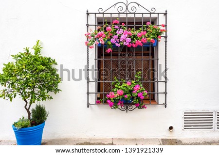 A wooden window with colorful flower pots