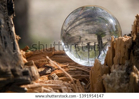 beautiful reflection in a glass ball for text