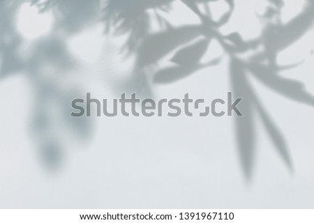 Shadow of leaves on a wall Royalty-Free Stock Photo #1391967110