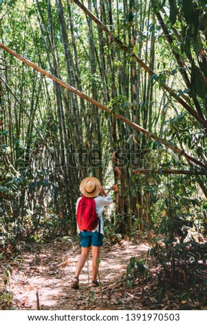 Woman with backpack on trek through jungle stopping looking bamboo forest top branches