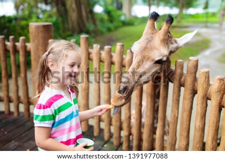 Family feeding giraffe in zoo. Children feed giraffes in tropical safari park during summer vacation in Singapore. Kids watch animals. Little girl giving fruit to wild animal.