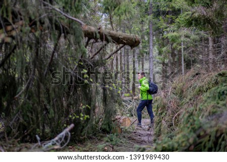 young sports traveler goes to the top of the mountain through a storm-fallen fir tree in Bieszczady. The concept of spending holidays away from people.