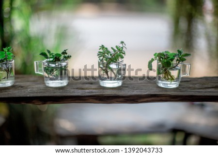 Blurred background of decorative items in restaurants, coffee, bakery, home and garden decoration (glass, vase, wood counter, wooden chair) for customers to take pictures and stop during travel. 