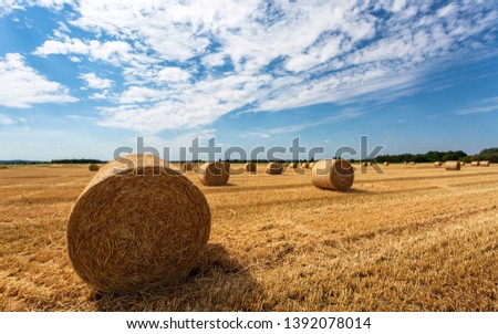 The hay / straw rolls at the farm field near Brighton, Sussex, England, United Kingdom, Europe