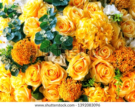 Bouquet close up. Fresh rose. Yellow flowers.
