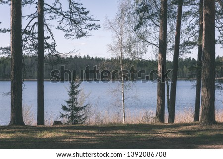 lake shore with distinct trees in green summer on the land. water seen through and green foliage in foreground - vintage retro look
