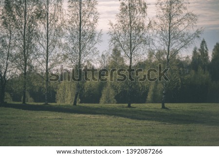 plain simple countryside spring landscape with fresh green meadows and forests . blue sky over - vintage retro film look