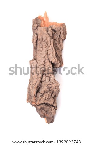 Dry bark on a white background