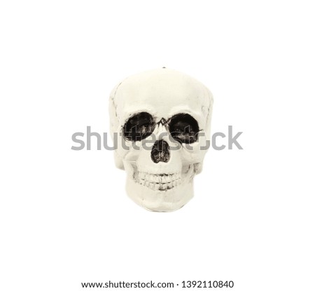 Skull head isolated on a white background