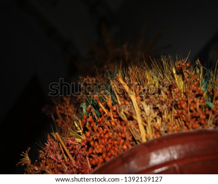 pottery with colorful Artificial plant