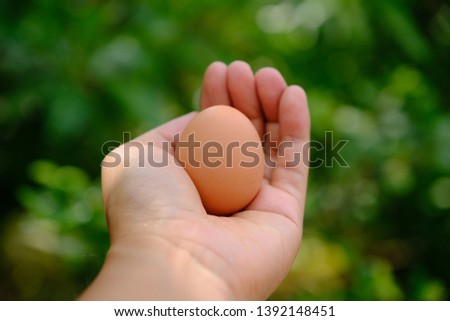 One fragile egg and hand