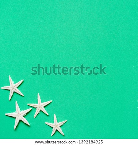 close up group of white star fish on green color background for summer season concept