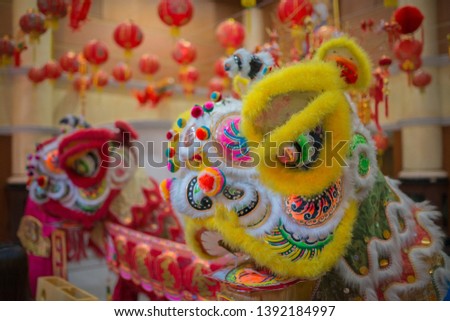 
Lion dance in the Chinese New Year.