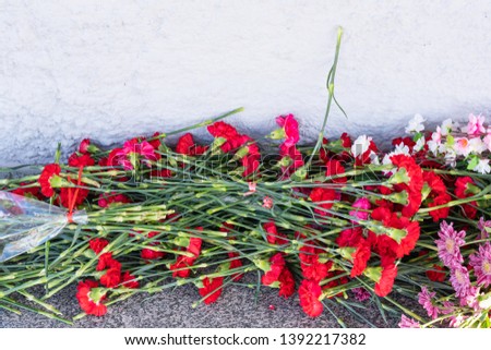 Red carnation flowers at the memorial to fallen soldiers in the world war II.holiday event