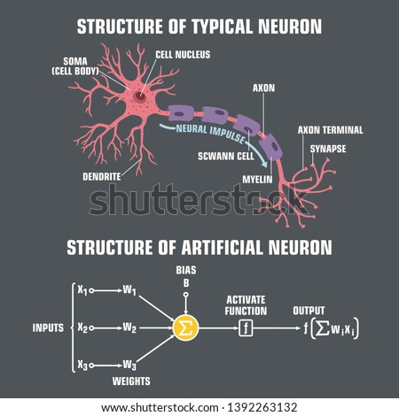 Vector scientific tech icon structure of human neuron and neuron of artificial intelligence. Description of the anatomy of the neuron of the brain and computer artificial intelligence. Illustration of