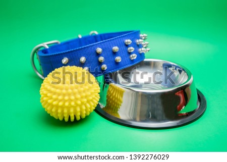Collar, stainless bowl and rubber toy for pet on green background