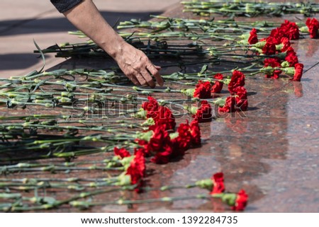 Male hand puts red carnations to the monument.