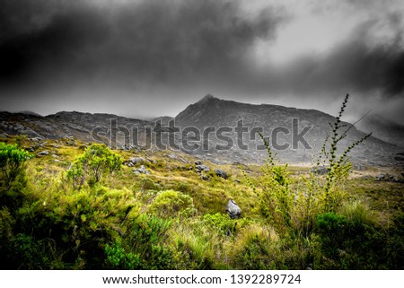 The twilight mountain. Photos were taken at Itatiaia´s National park. It was a foggy day, but excellent for photography. 