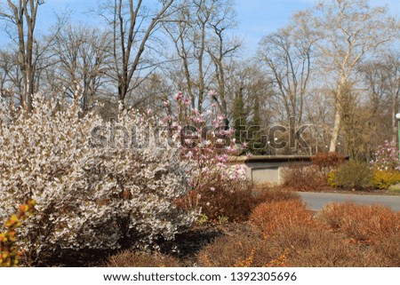 Bushes with white and pink flowers in the park against the blue sky.