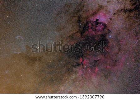 Cygnus region of the Milky Way with North America, Pelican, Veil and many more nebulae