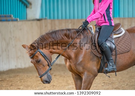 woman jockey riding a horse in manege Royalty-Free Stock Photo #1392309092