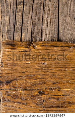 high detailed background texture of the board from olive pine oak birch fir tree, large wooden one two three rings, beautiful wood grain, abstract, brown white black dark yellow