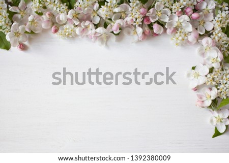 Spring background with blooming apple tree branches, bird cherry, for congratulations, text