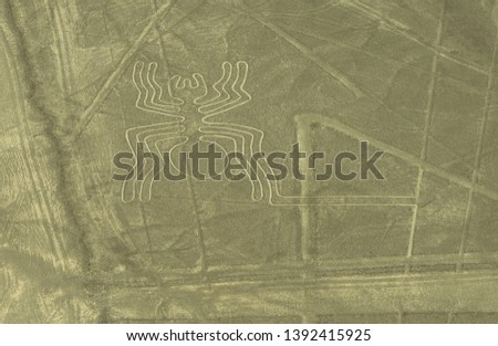 Peru  Nazca lines spider seen from plane