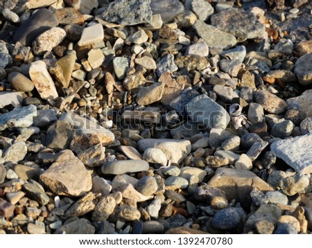texture of sea stone on the shore