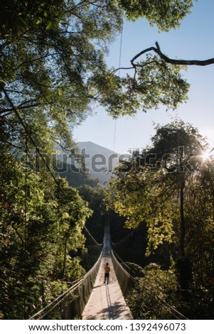A man is enjoying morning scenery on Situgunung Suspension Bridge, South-East Asia's longest Suspension Bridge located in the middle of the forest of Indonesia.