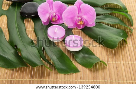 Leaf of a monstera, orchid, candle and stones on a bamboo cloth
