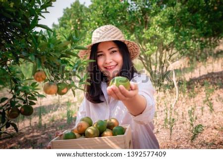 Portrait of Agriculturist Farmer Woman is Harvesting Oranges Fruit While Holding Wooden Basket With Happy Smiling in Organic Farming., Agriculture Orange Orchard and Plantation Concept., Organic Farm