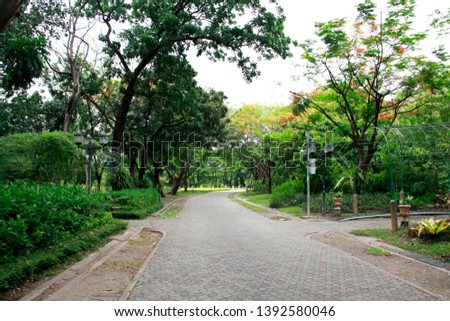Scenery and walkways in the park