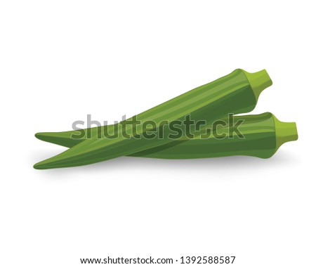 Lady Fingers or Okra drawing picture vector illustration - Vector