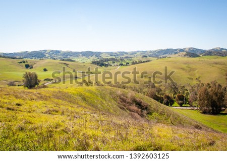 Layered rolling hills and trees