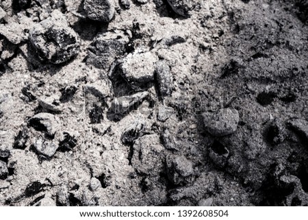 The texture of the ashes. Background image. Macro photo.