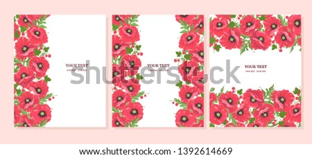 Red poppy flowers with leaves and berries. A collection of postcards with wildflowers on white and space for text. Set of templates for wedding invitation cards banners brochure cover design. Vector.