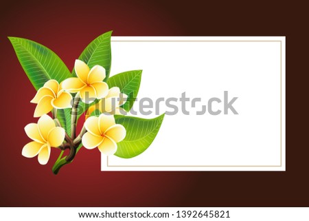 Golden frangipani or plumeria flowers with leaves. Save the date, sympathy, condolences or strict style postcard template. Vector Illustration Decorative burial funeral bouquet on dark Background