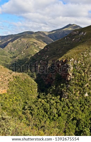 Strydomsberg Peak in the Groendal Nature Reserve near Port Elizabeth, South Africa. 