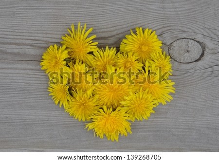 Heart shaped flowers on the floor