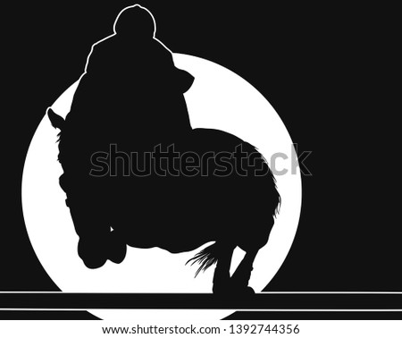 A silhouette of a rider in the spotlight