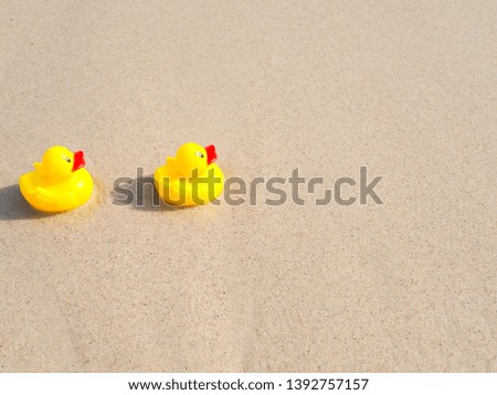 Yellow rubber toy ducks on sand beach at the seaside with copy space for text on Summer,Holidays,Vacations and Travel concept