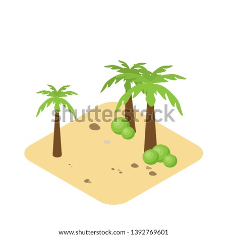 Natural Desert landscape isometric palm trees with tropical land with sand and rocks