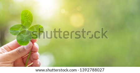 Four-leaf clover in one hand