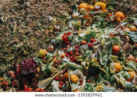 bio waste on vegetable farm, heap of organic waste, food waste