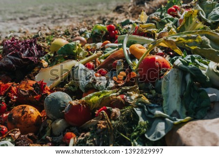 bio waste on vegetable farm, heap of organic waste, food waste Royalty-Free Stock Photo #1392829997