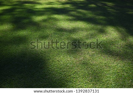 Abstract shaded and mottled lawn grass textured background