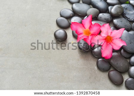 Black pebbles and red two frangipani on gray background
