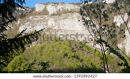 Nature in France, in Vercors 
