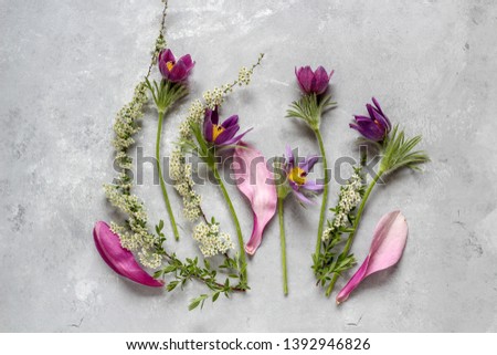 Flat lay arrangement of spring flowers  on a dark background. Spring greeting. Floral arrangement